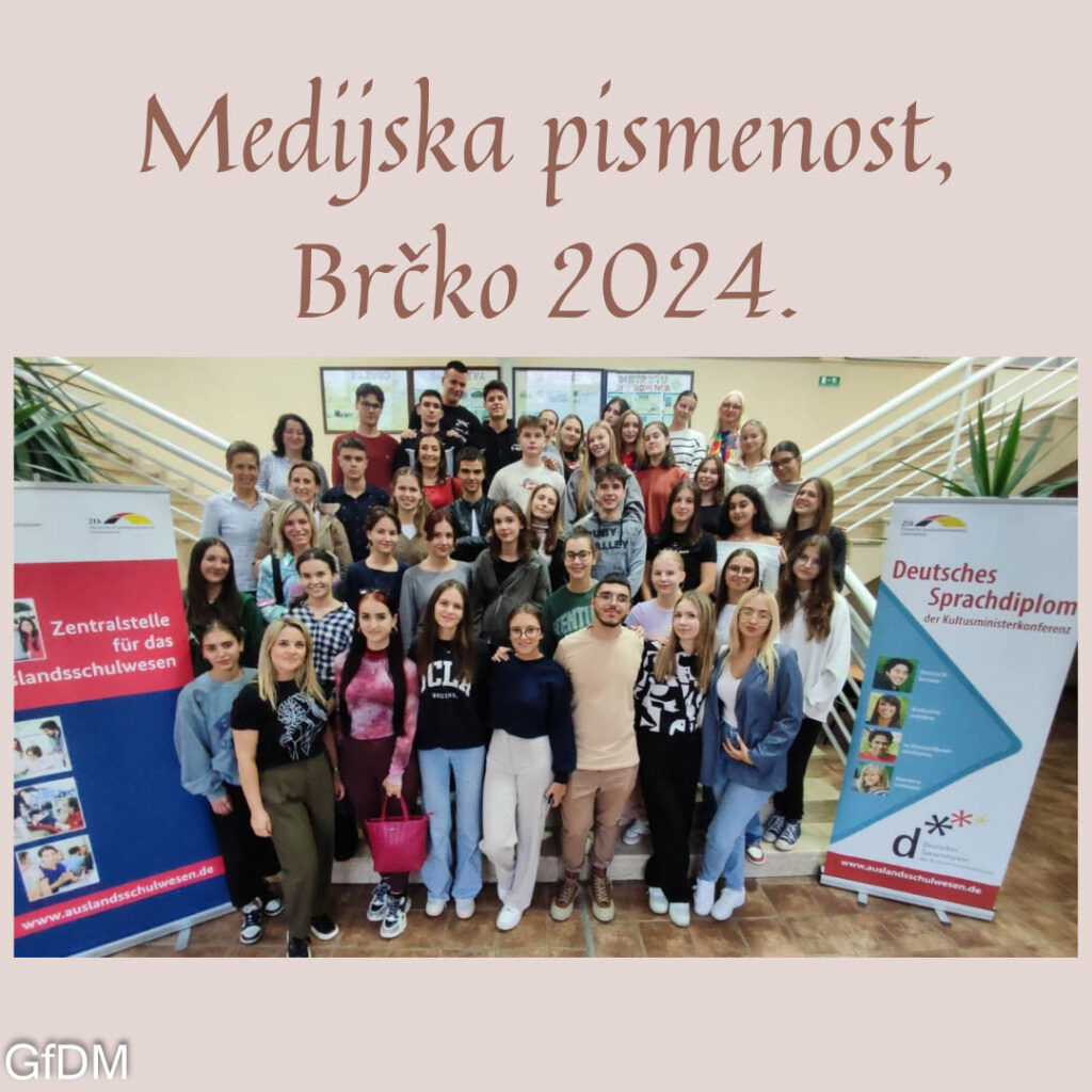 Medijska pismenost