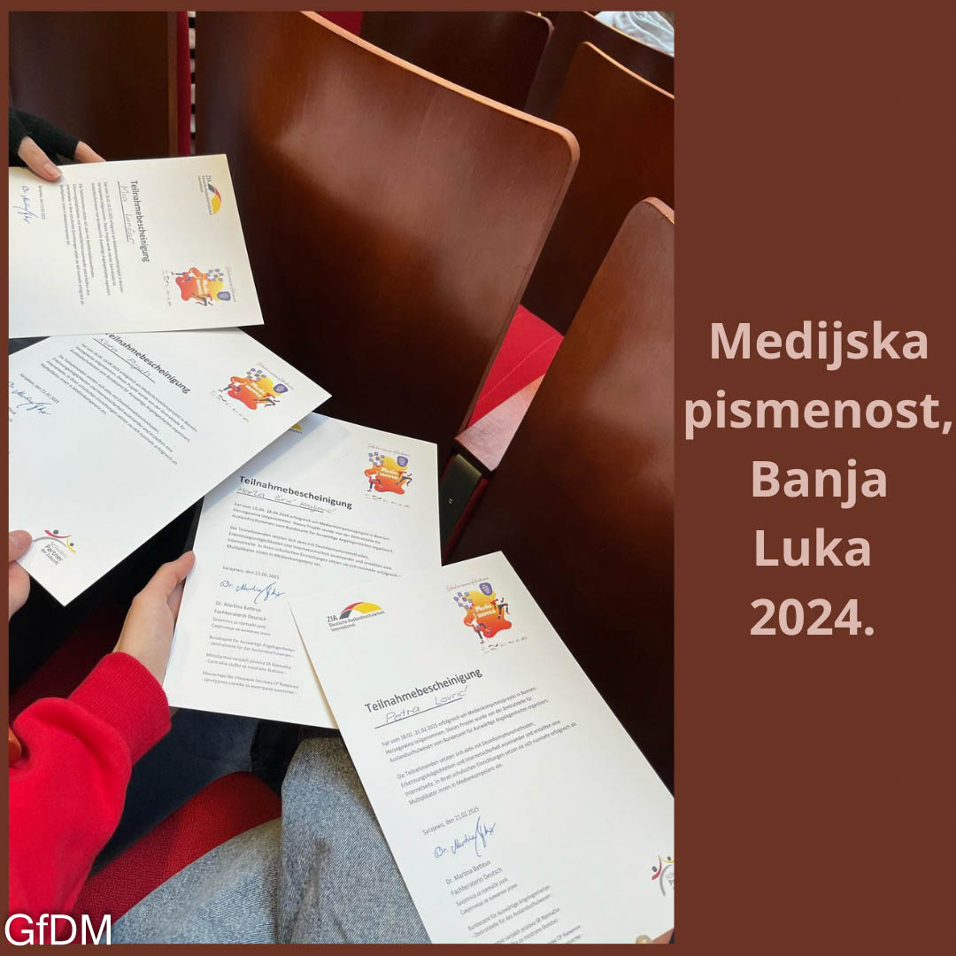Medijska pismenost